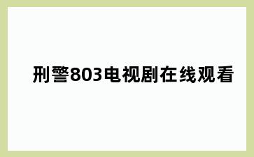 刑警803电视剧在线观看