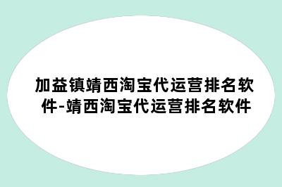 加益镇靖西淘宝代运营排名软件-靖西淘宝代运营排名软件