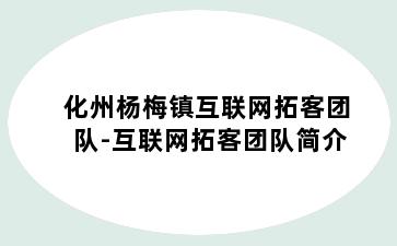 化州杨梅镇互联网拓客团队-互联网拓客团队简介