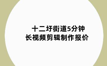 十二圩街道5分钟长视频剪辑制作报价