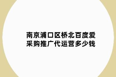 南京浦口区桥北百度爱采购推广代运营多少钱