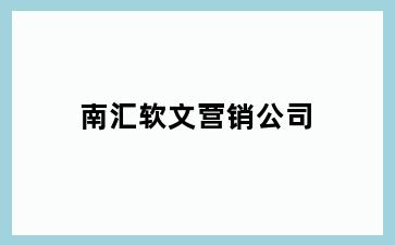 南汇软文营销公司