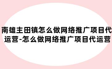 南雄主田镇怎么做网络推广项目代运营-怎么做网络推广项目代运营工作