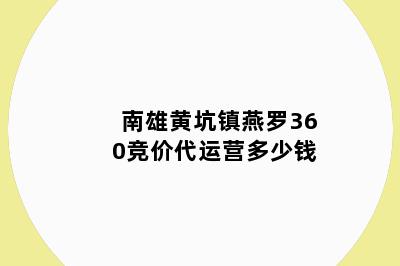 南雄黄坑镇燕罗360竞价代运营多少钱