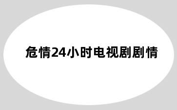 危情24小时电视剧剧情