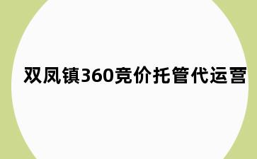 双凤镇360竞价托管代运营