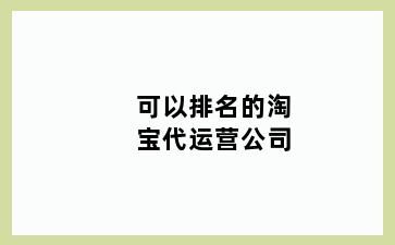 可以排名的淘宝代运营公司