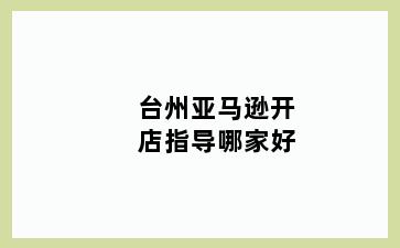 台州亚马逊开店指导哪家好