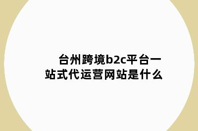 台州跨境b2c平台一站式代运营网站是什么