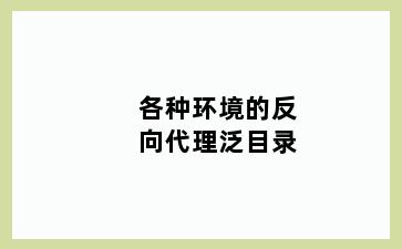 各种环境的反向代理泛目录