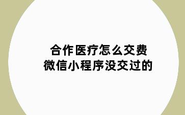 合作医疗怎么交费微信小程序没交过的