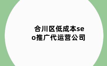 合川区低成本seo推广代运营公司