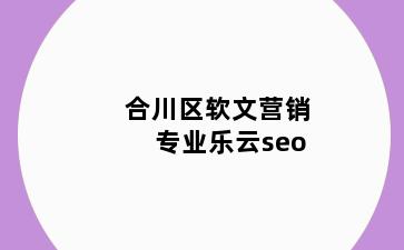 合川区软文营销专业乐云seo