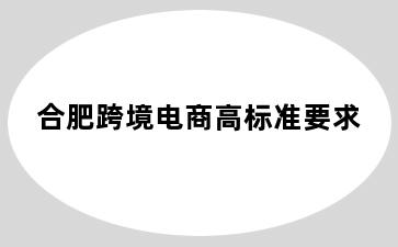 合肥跨境电商高标准要求