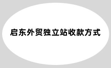 启东外贸独立站收款方式