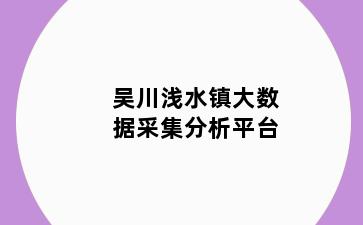 吴川浅水镇大数据采集分析平台