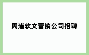 周浦软文营销公司招聘