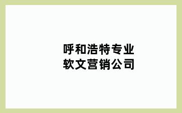 呼和浩特专业软文营销公司