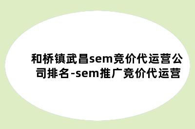 和桥镇武昌sem竞价代运营公司排名-sem推广竞价代运营