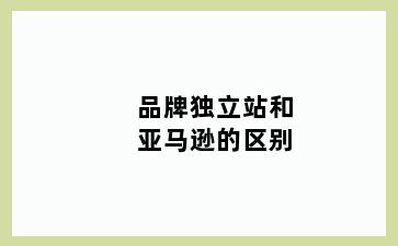 品牌独立站和亚马逊的区别