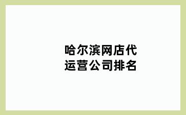 哈尔滨网店代运营公司排名