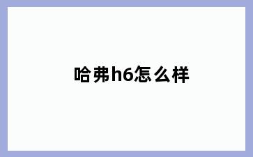 哈弗h6怎么样