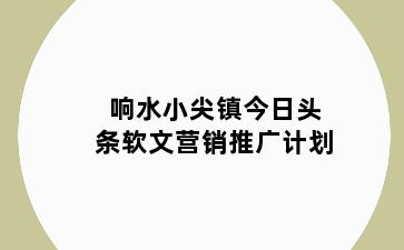 响水小尖镇今日头条软文营销推广计划