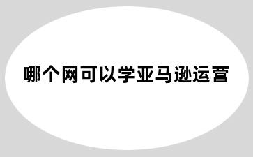 哪个网可以学亚马逊运营