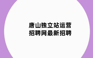 唐山独立站运营招聘网最新招聘