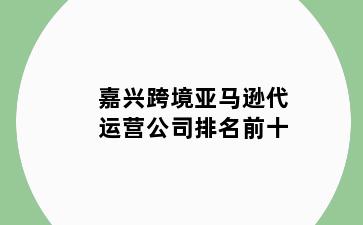 嘉兴跨境亚马逊代运营公司排名前十