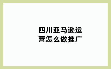 四川亚马逊运营怎么做推广