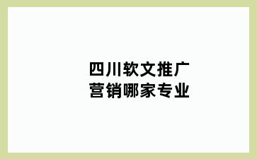 四川软文推广营销哪家专业