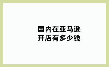 国内在亚马逊开店有多少钱