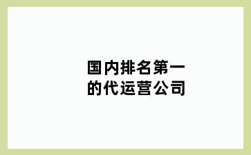 国内排名第一的代运营公司