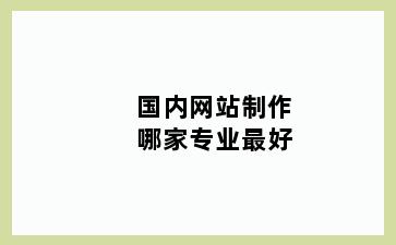 国内网站制作哪家专业最好