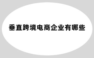 垂直跨境电商企业有哪些