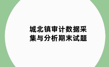 城北镇审计数据采集与分析期末试题