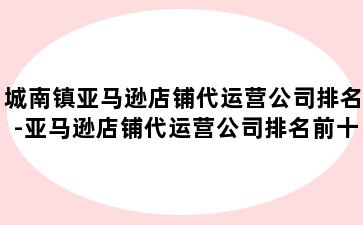 城南镇亚马逊店铺代运营公司排名-亚马逊店铺代运营公司排名前十