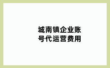 城南镇企业账号代运营费用