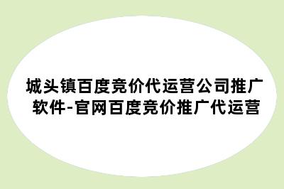 城头镇百度竞价代运营公司推广软件-官网百度竞价推广代运营