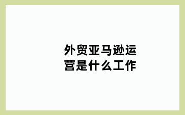 外贸亚马逊运营是什么工作