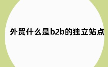 外贸什么是b2b的独立站点