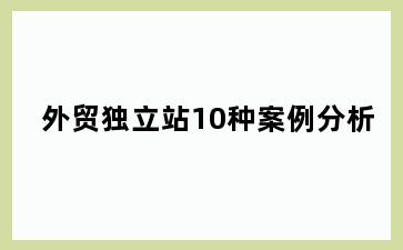 外贸独立站10种案例分析