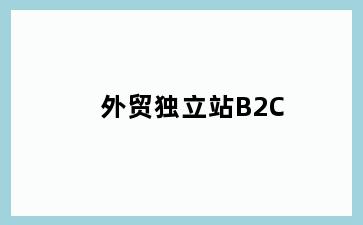 外贸独立站B2C