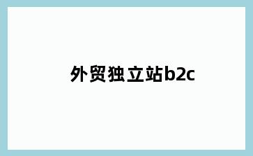 外贸独立站b2c