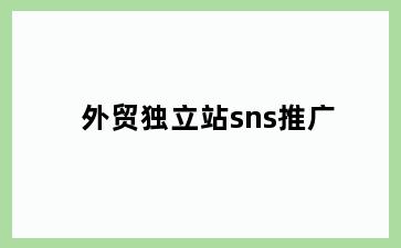 外贸独立站sns推广