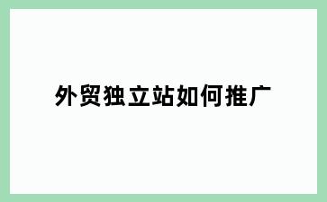 外贸独立站如何推广