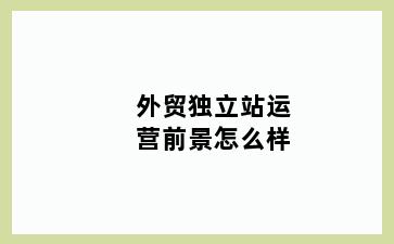 外贸独立站运营前景怎么样