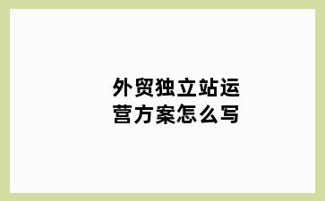 外贸独立站运营方案怎么写