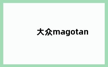 大众magotan